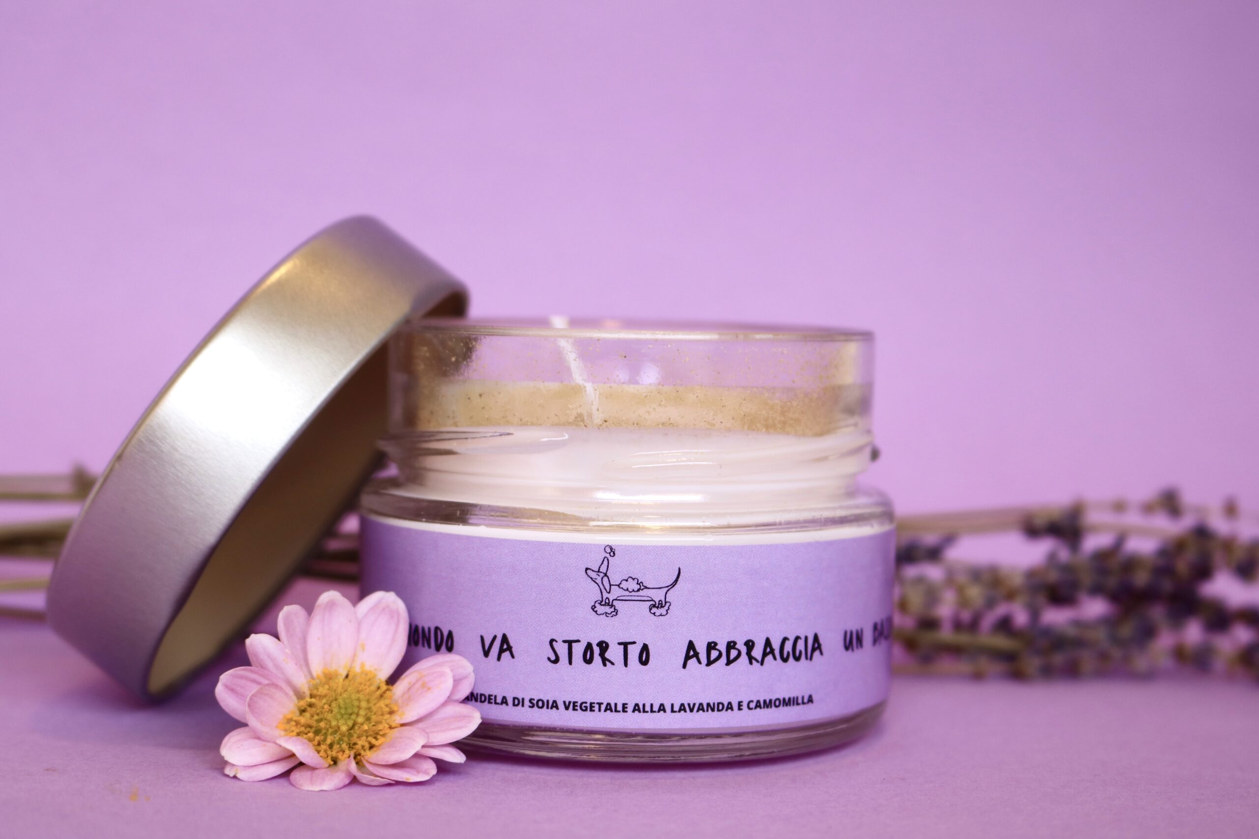 Se il mondo va storto abbraccia un Bassotto