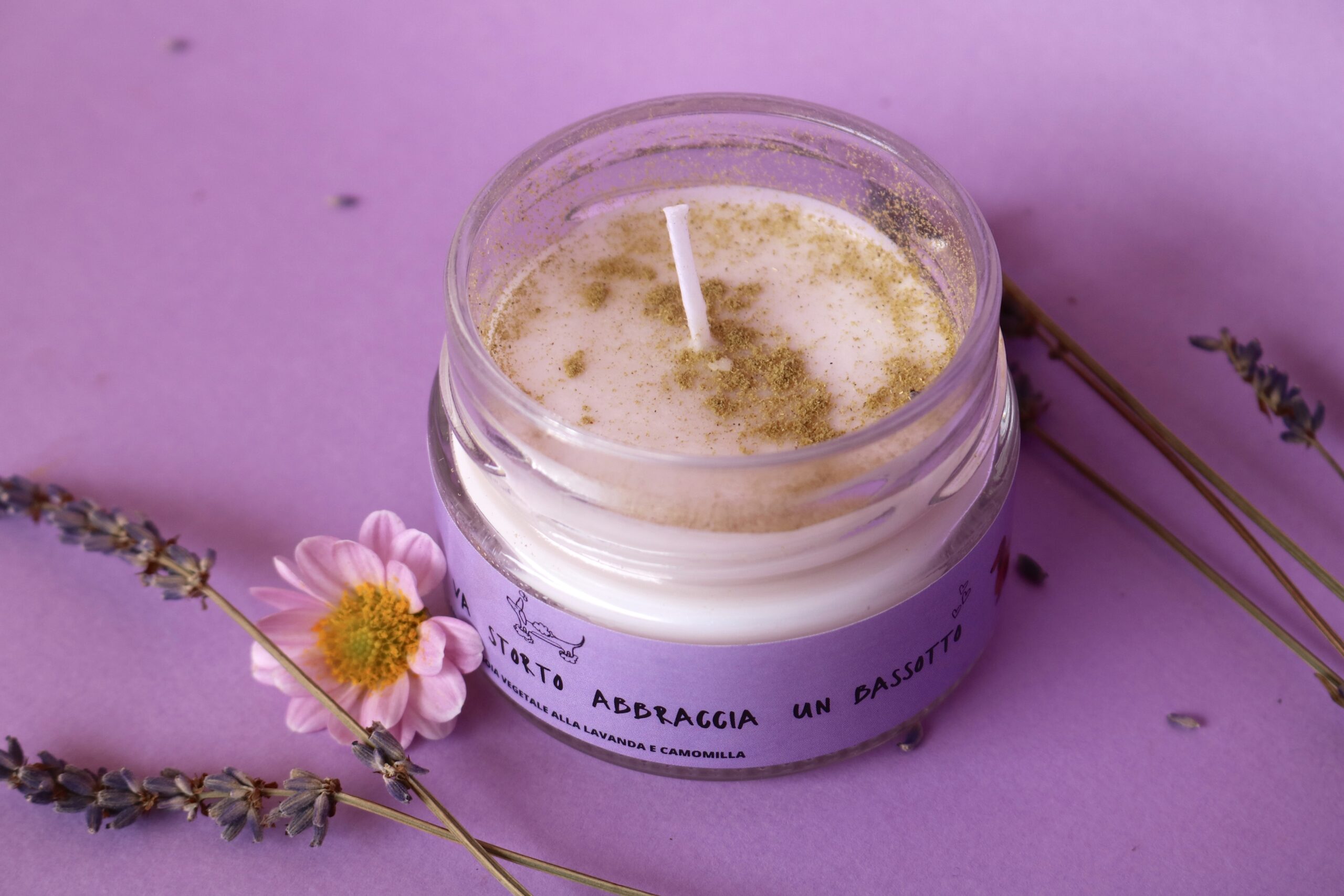 Se il mondo va storto abbraccia un Bassotto