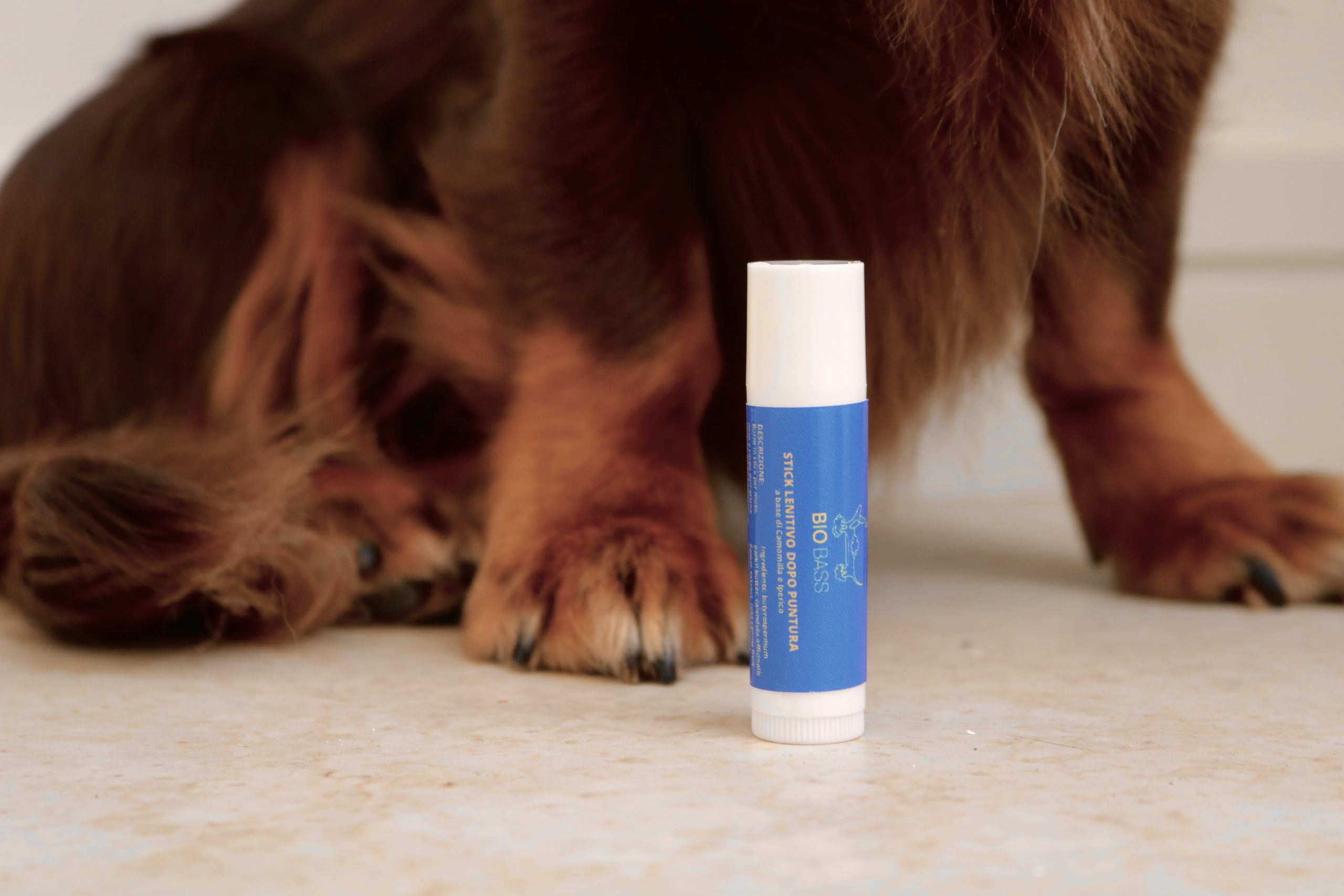 Stick Lenitivo dopo puntura per bassotti