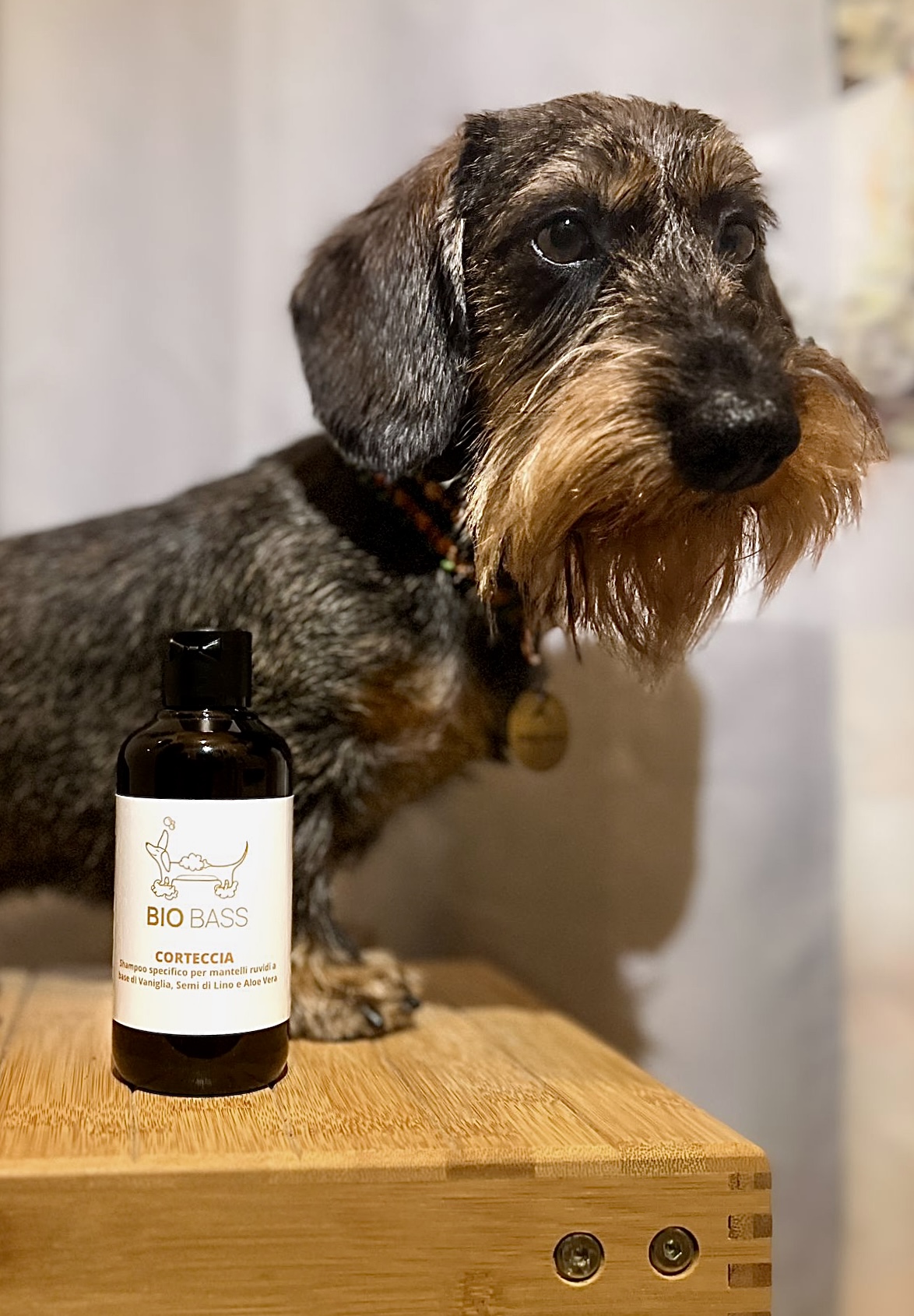 Shampoo Corteccia per Bassotti con Mantelli Ruvidi