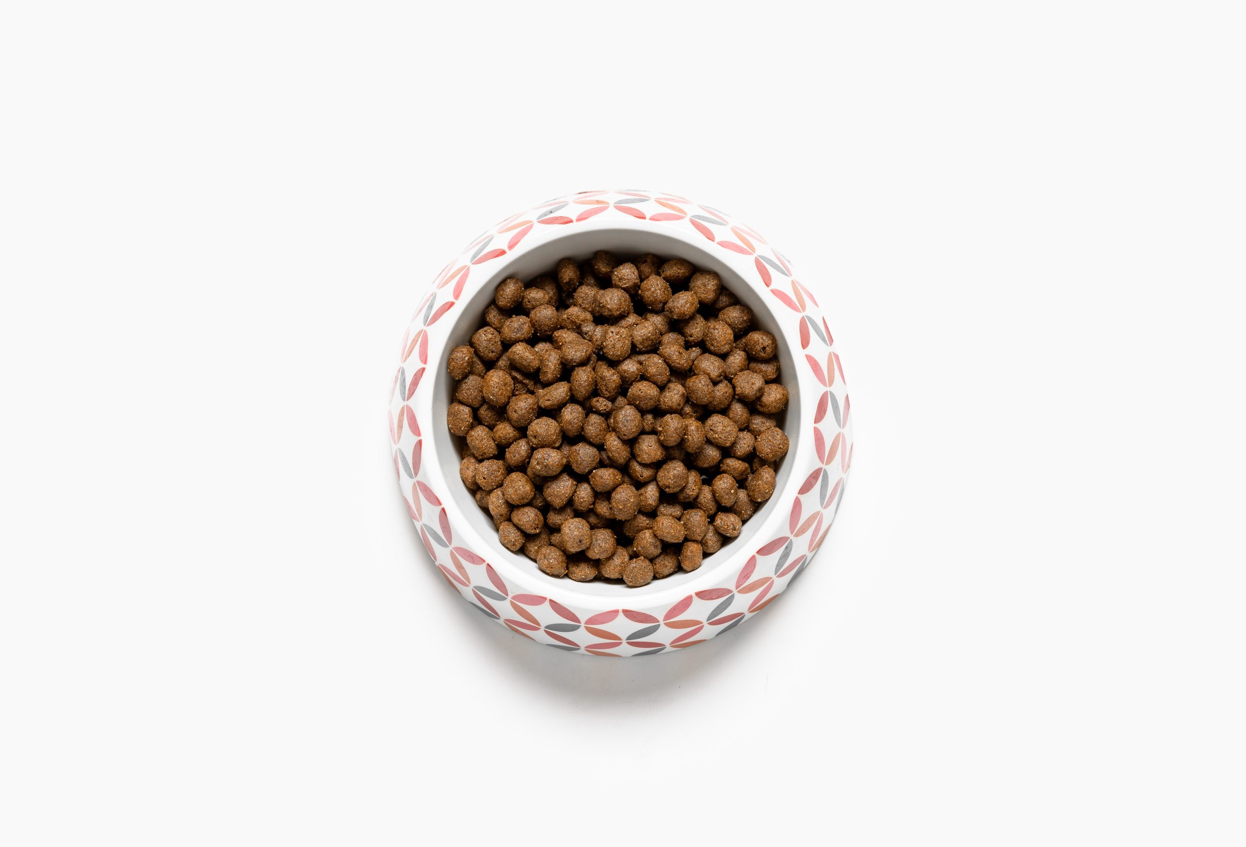 Croccantini Anatra e Cereali Bio