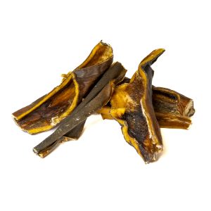 Pelle di testa bovina